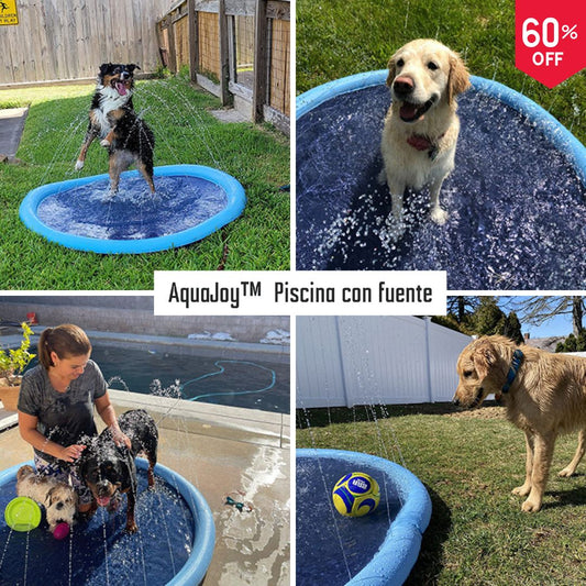 AquaJoy™ – piscina con fuente